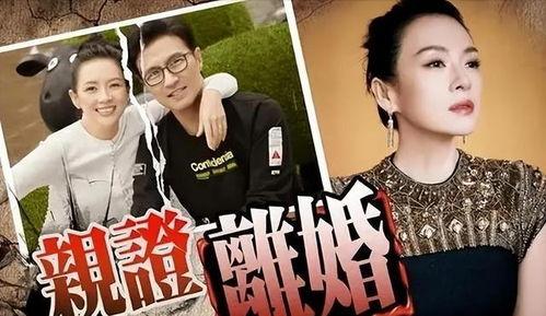 刘大锤爆料榜单最新视频,揭秘榜单幕后真相